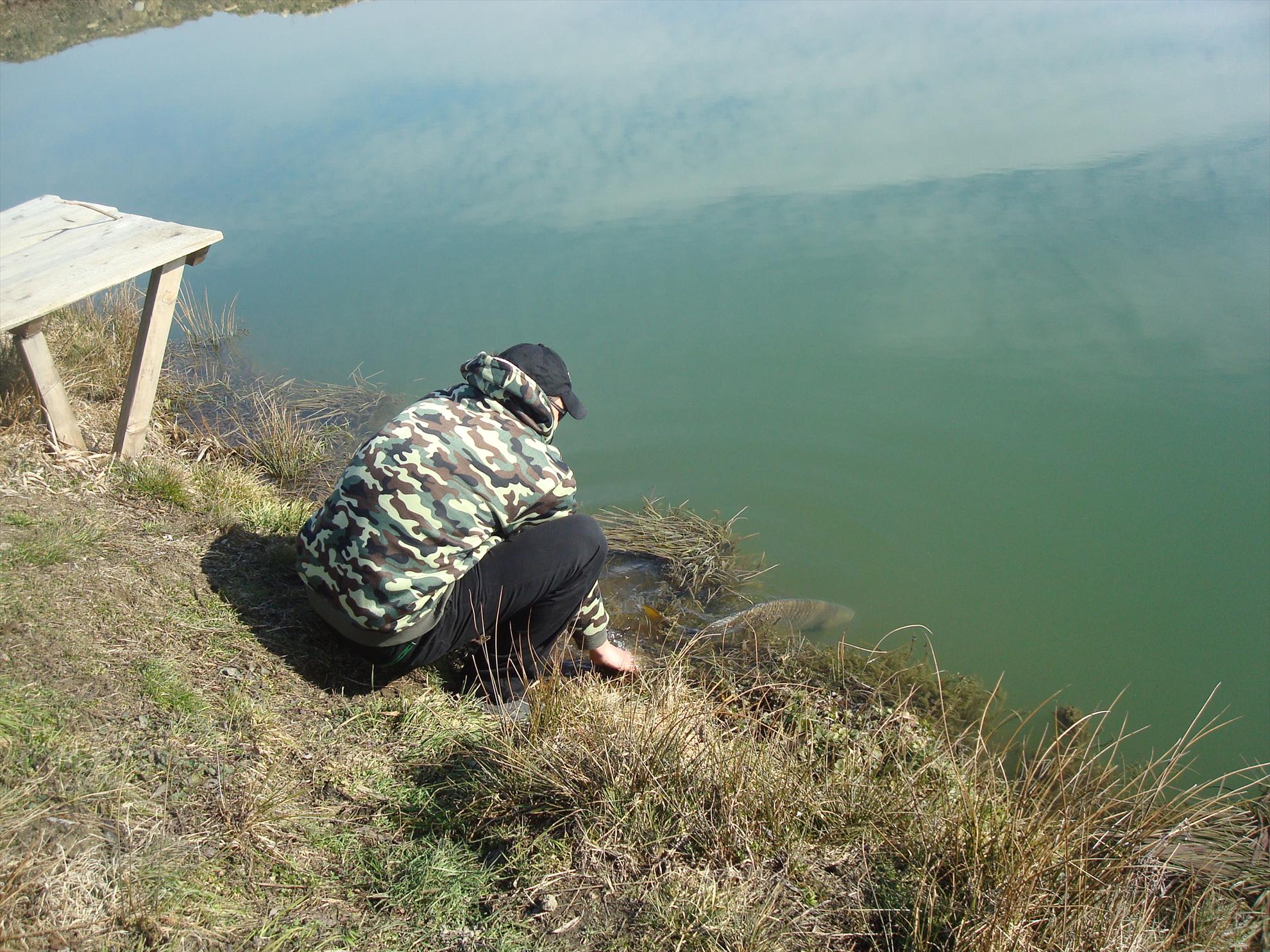 o balta din zona banatului montan - dsc07096.JPG